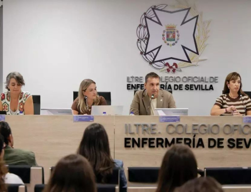 Ponencia de María Fernández en el Colegio de Enfermería de Sevilla